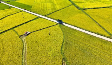 1693377743774053.png image.png